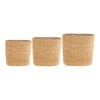 Isaac Plant Baskets - Set Of 3 - Oval - Natural -Plants Sale Store Isaac Plant Baskets Set of 3 Round Natural
