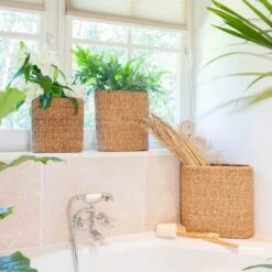 Isaac Plant Baskets - Set Of 3 - Oval - Natural -Plants Sale Store Isaac Plant Baskets Set of 3 Round Natural Houseplants