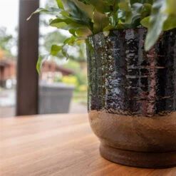 Jayla Plant Pot - Espresso -Plants Sale Store Jayla Espresso 2