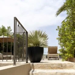 Jesslyn Natural Planter - Black -Plants Sale Store Jesslyn Natural Planter Black 1