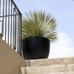 Jesslyn Natural Planter - Black -Plants Sale Store Jesslyn Natural Planter Black 2