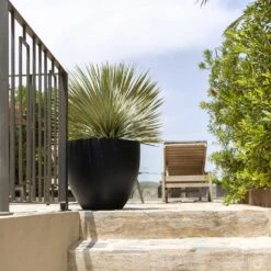 Jesslyn Natural Planter - Black -Plants Sale Store Jesslyn Natural Planter Black Large Patio Planter da61951c e7e8 4898 be23 5e29fba17043