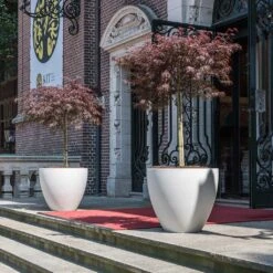 Jesslyn Refined Planter - Natural White -Plants Sale Store Jesslyn Refined Planter Natural White Doorway Planters