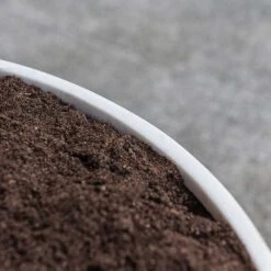 Jesslyn Refined Planter - Natural White -Plants Sale Store Jesslyn Refined Planter Natural White Rim