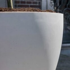 Jesslyn Refined Planter - Natural White -Plants Sale Store Jesslyn Refined Planter Natural White Sandstone Texture