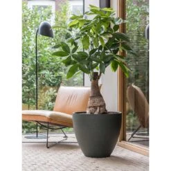 Jesslyn Refined Planter - Pine Green -Plants Sale Store Jesslyn Refined Planter Pine Green Office Planters