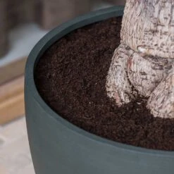 Jesslyn Refined Planter - Pine Green -Plants Sale Store Jesslyn Refined Planter Pine Green Rim