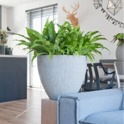 Jesslyn Plant Pot - Ridged Cement -Plants Sale Store JesslynPlantPot RidgedCement 2