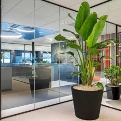 Jumbo Bucket Natural Planter - Black 10 Jumbo Bucket Natural Planter - Black -Plants Sale Store Jumbo Bucket Natural Planter Black 98x85cm Lifestyle 2