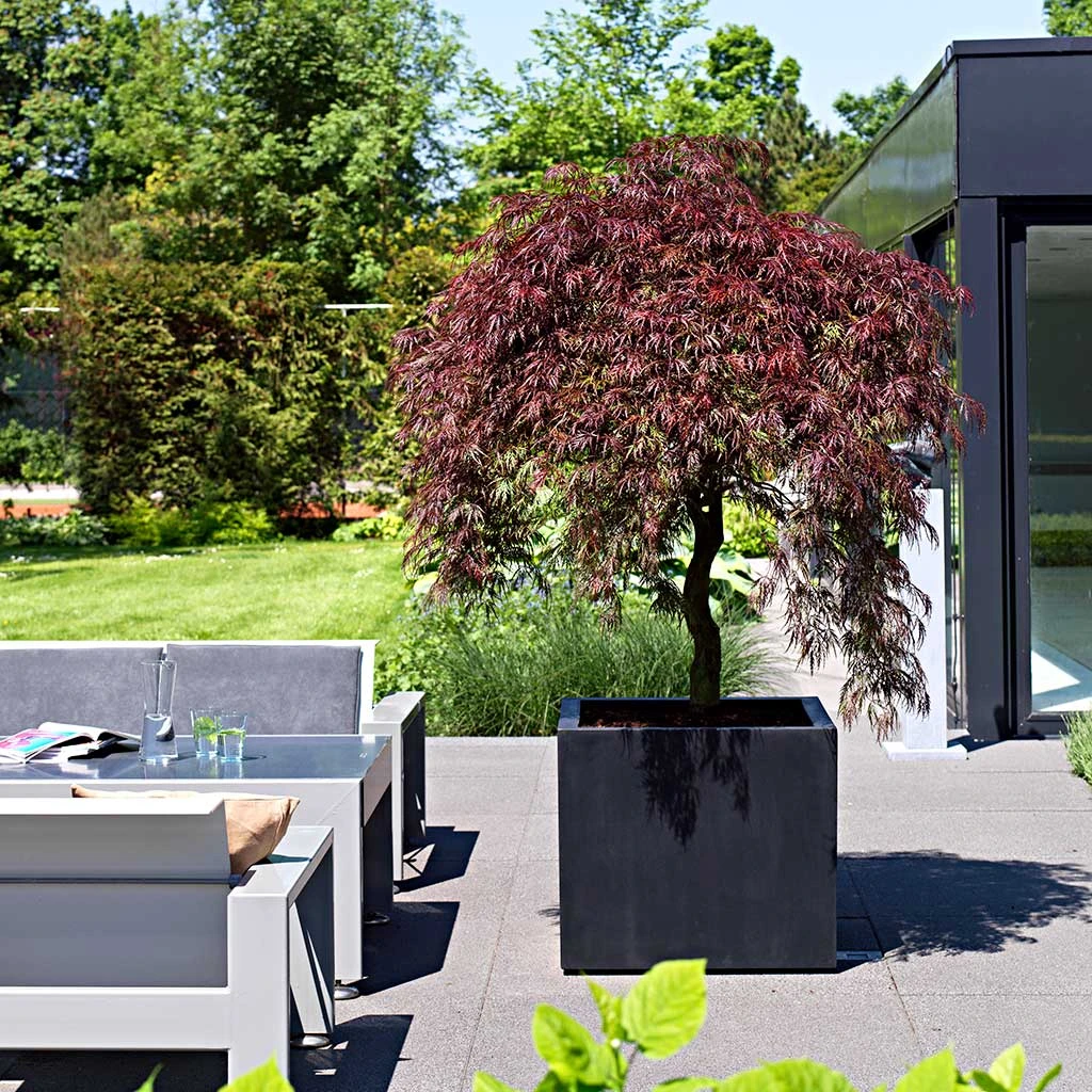 Jumbo Cube Natural Planter - Black 4 Jumbo Cube Natural Planter - Black - Image 2