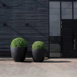Jumbo Jesslyn Natural Planter - Black 10 Jumbo Jesslyn Natural Planter - Black -Plants Sale Store Jumbo Jesslyn Natural Planter Black Entrance Planters