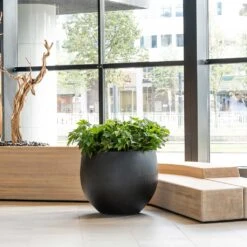 Jumbo Orb Natural Orb Planter - Black -Plants Sale Store Jumbo Orb Natural Orb Planter Black Office Reception Planter