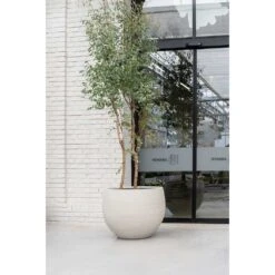 Jumbo Orb Planter - Stone Washed -Plants Sale Store Jumbo Orb Planter Stone Washed Garden Tree