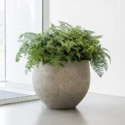 Jumbo Orb Planter - Stone Washed -Plants Sale Store Jumbo Orb Planter Stone Washed Office Plants