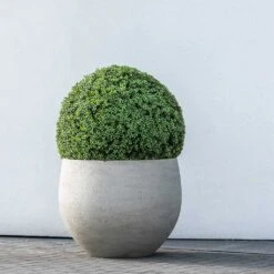 Jumbo Orb Planter - Stone Washed -Plants Sale Store Jumbo Orb Planter Stone Washed Topiary Box Hedge