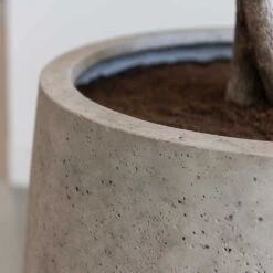 Jumbo Patt Planter - Stone Washed -Plants Sale Store Jumbo Patt Planter Stone Washed Close Up