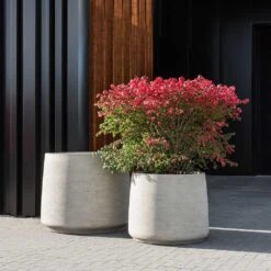 Jumbo Patt Planter - Stone Washed -Plants Sale Store Jumbo Patt Planter Stone Washed Garden Plants