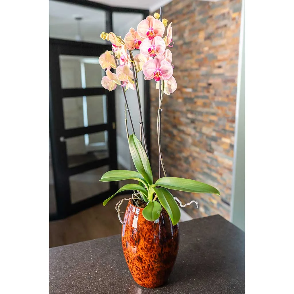 Kae Plant Vase - Cayenne 4 Kae Plant Vase - Cayenne - Image 2