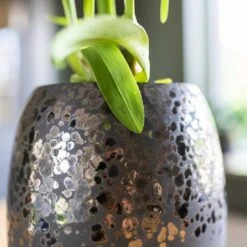 Kae Plant Vase - Mocha -Plants Sale Store Kae Plant Vase Mocha Close Up