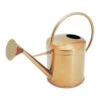 Kensington Indoor Traditional Watering Can 2L - Copper -Plants Sale Store Kensington Indoor Traditional Watering Can 2L Copper 2