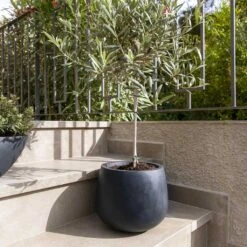 Kevan Natural Planter - Black -Plants Sale Store Kevan Natural Planter Black 2