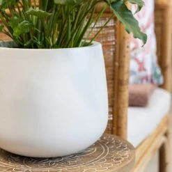 Kevan Essentials Plant Pot - Matt White -Plants Sale Store Kevan Plant Pot Matt White Philodendron Plant