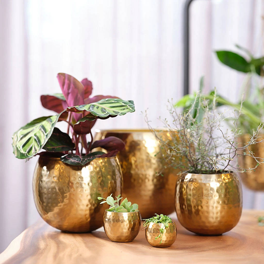 Kody Metal Plant Pots - Set Of 3 - Large - Gold 4 Kody Metal Plant Pots - Set Of 3 - Large - Gold - Image 2