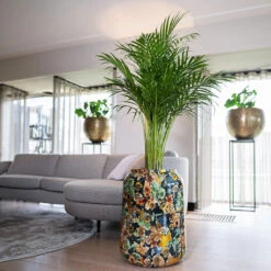 Lammie Planter - Berry Blue 16 Lammie Planter - Berry Blue -Plants Sale Store Lammie Planter Berry Blue 5