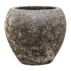 Lava Balloon Relic Planter - Black -Plants Sale Store Lava Balloon Relic Planter Black 54x50cm