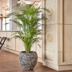 Lava Balloon Relic Planter - Rust 14 Lava Balloon Relic Planter - Rust -Plants Sale Store Lava Balloon Relic Rust Metal