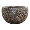 Lava Bowl Relic Planter - Black -Plants Sale Store Lava Bowl Relic Planter Black