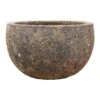 Lava Bowl Relic Planter - Rust 2 Lava Bowl Relic Planter - Rust -Plants Sale Store Lava Bowl Relic Planter Rust