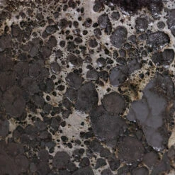 Lava Bowl Relic Planter - Black -Plants Sale Store Lava Couple Straight Relic Planter Black 2 acfe2d84 cf20 443b 9979 9bb78f099cba