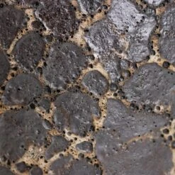 Lava Couple Relic Planter - Black 17 Lava Couple Relic Planter - Black -Plants Sale Store Lava Couple Straight Relic Planter Black Swatch 2 c9a18137 535e 4216 8c40 5a4696aded07