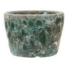 Lava Couple Straight Relic Planter - Jade 2 Lava Couple Straight Relic Planter - Jade -Plants Sale Store Lava Couple Straight Relic Planter Jade