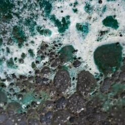 Lava Bowl Relic Planter - Jade -Plants Sale Store Lava Couple Straight Relic Planter Jade 19x13cm Colour Swatch 1 0628695e 6e84 44be b7a7 b0f9f8968d8d