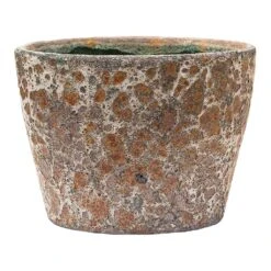 Lava Couple Straight Relic Planter - Rust -Plants Sale Store Lava Couple Straight Relic Planter Rust Small