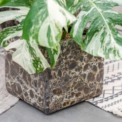 Lava Cube Relic Planter - Black -Plants Sale Store Lava Cube Relic Planter Black 1