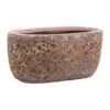 Lava Oval Relic Plant Bowl - Pink -Plants Sale Store Lava Oval Relic Plant Bowl Pink 31x18x15cm