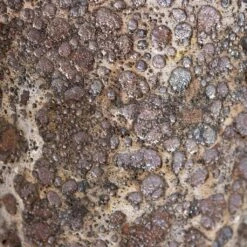 Lava Balloon Relic Planter - Rust 16 Lava Balloon Relic Planter - Rust -Plants Sale Store Lava Rust Swatch 3