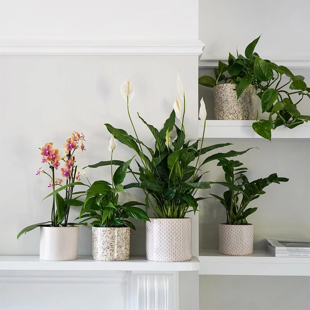 Lazzaro Plant Pot - Linen Effect 9 Lazzaro Plant Pot - Linen Effect - Image 7