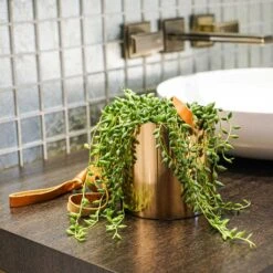 Floro Hanging Plant Pot - Copper -Plants Sale Store Lifestyle Floro Hanging Plant Pot 13x13cm 2