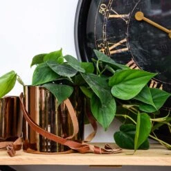 Floro Hanging Plant Pot - Copper -Plants Sale Store Lifestyle Floro Hanging Plant Pot Copper 13x13cm