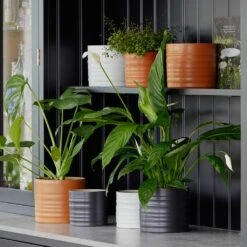 Hadleigh Plant Pot - Charcoal -Plants Sale Store Lifestyle Hadleigh Plant Pot a8f821c4 ef75 4ab7 b78a 21936757ff12