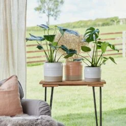 Puro Ripple Plant Pot - White 14 Puro Ripple Plant Pot - White -Plants Sale Store Lifestyle Puro Ripple Plant Pot 21x19cm 78129612 f541 46ee b1c8 f828cfeb6eb8