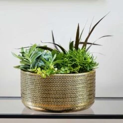 Solis Embossed Plant Bowl - Gold -Plants Sale Store Lifestyle Solis Embossed Plant Bowl Gold 30x15cm