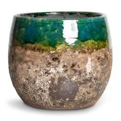 Lindy Plant Pot - Black Green -Plants Sale Store Lindy Plant Pot Black Green 16x13cm