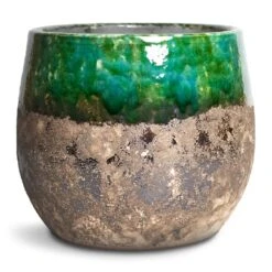 Lindy Plant Pot - Black Green -Plants Sale Store Lindy Plant Pot Black Green 23x20cm