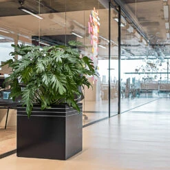 Line-Up Cube Planter - Matt Black -Plants Sale Store Line Up Cube Planter Matt Black Lifestyle 1