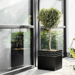 Line-Up Cube Planter - Matt Black -Plants Sale Store Line Up Cube Planter Matt Black Lifestyle 2